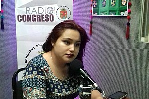 Observatorio Feminista Contra la Violencia de las Mujeres de Chiapas
