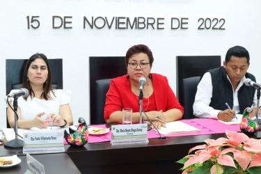 Diputada María Reyes Diego Gómez se reúne con Comisiones Unidas para analizar el Proceso de Consulta a Pueblos Indígenas y Afroamericanos